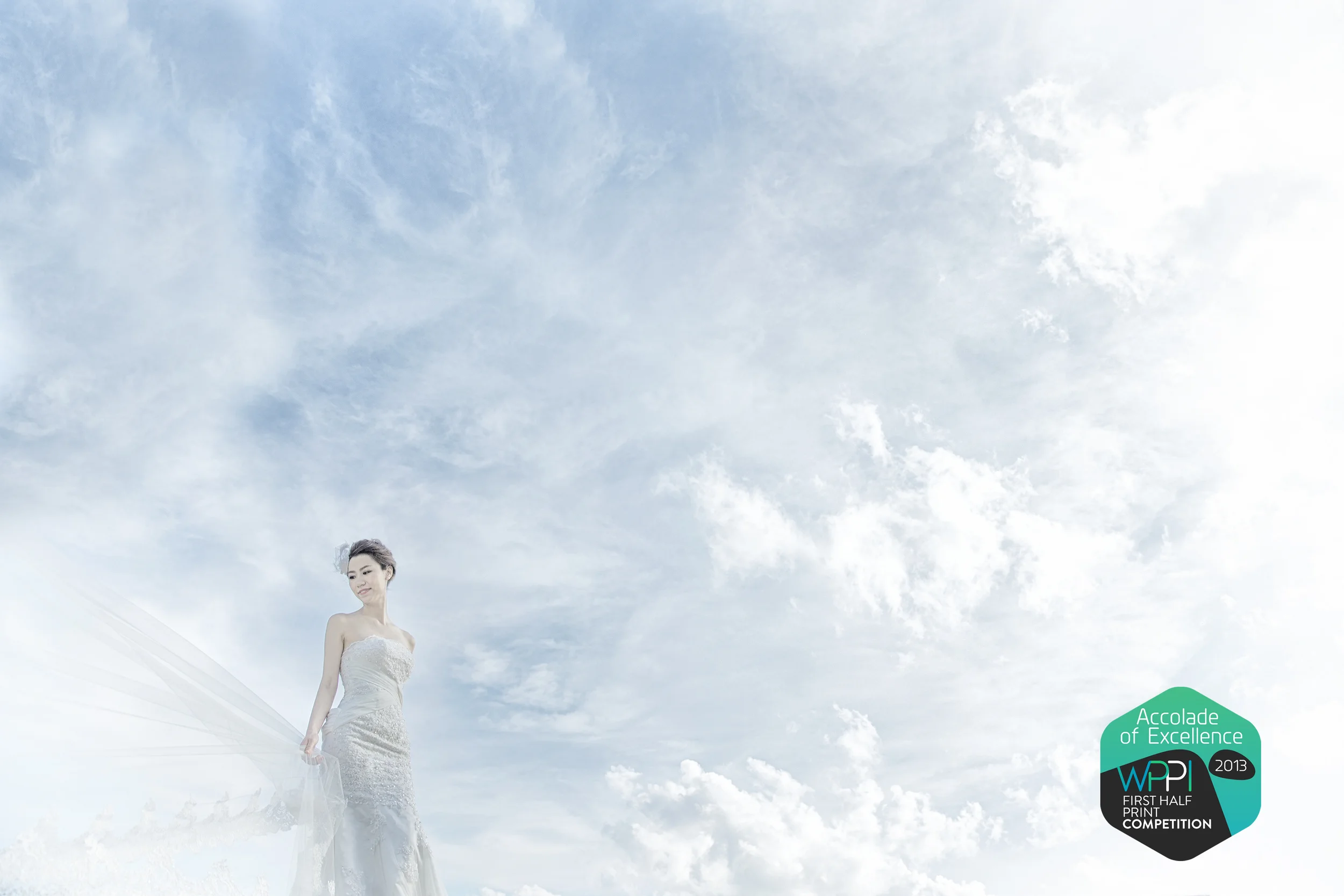 Bride beneath a broad cloudy sky, with a WPPI Accolade of Excellence badge.