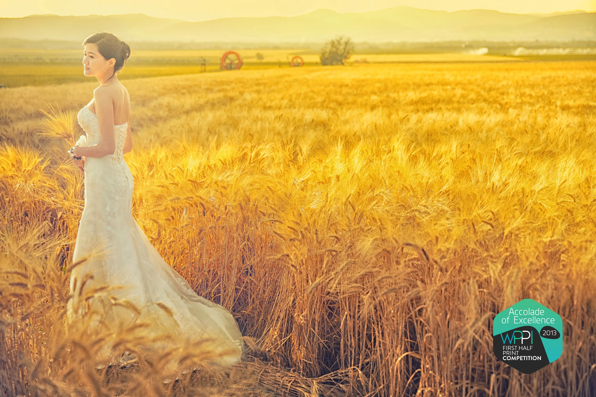 Bride standing in a golden field, with a WPPI Accolade of Excellence badge.