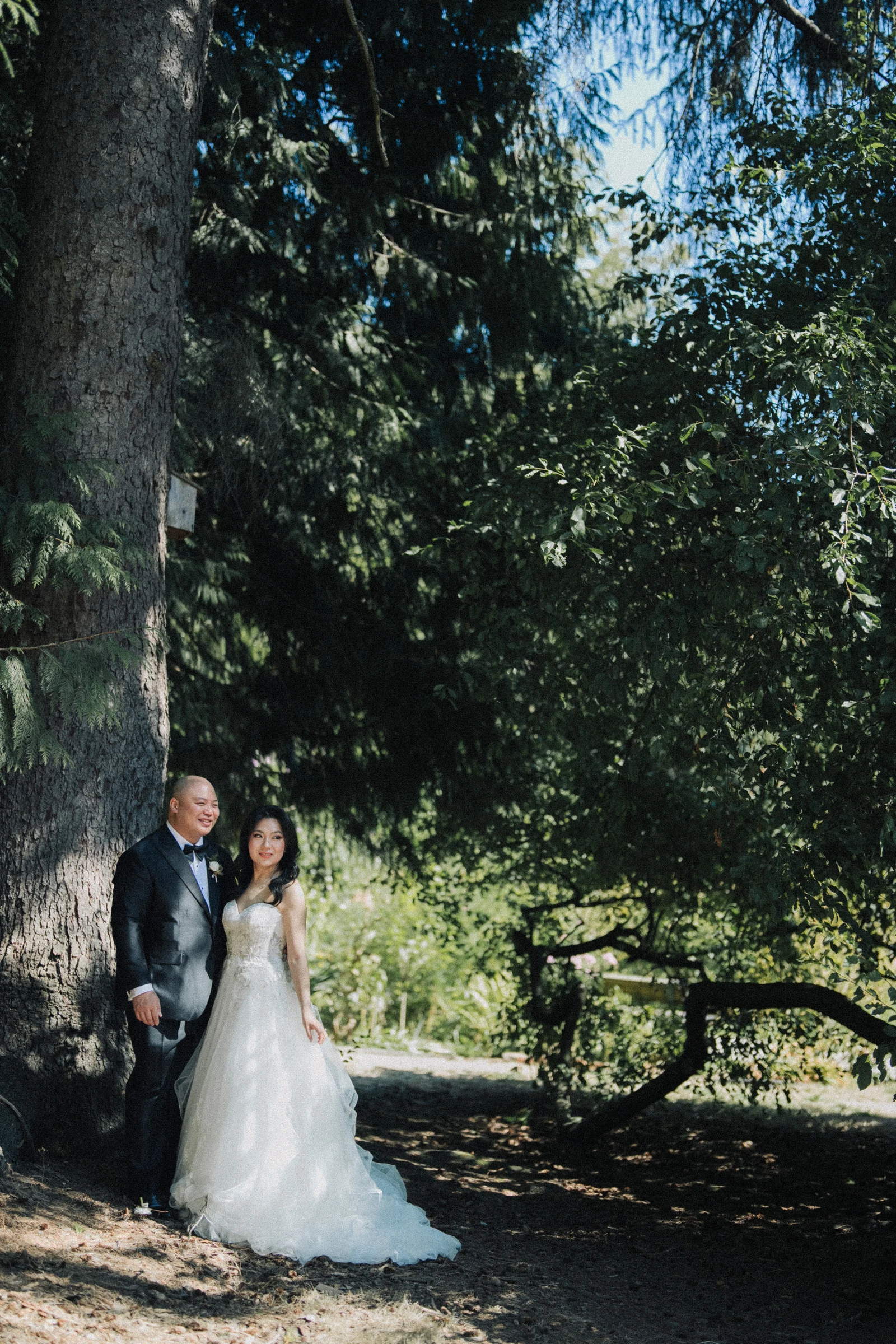 Wide portrait of the couple beneath the tall green canopy.