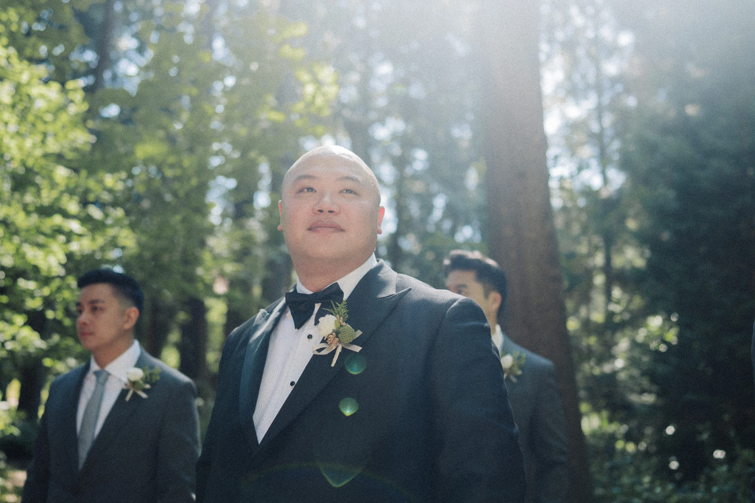 Groom looking upwards as sunlight filters through the branches.