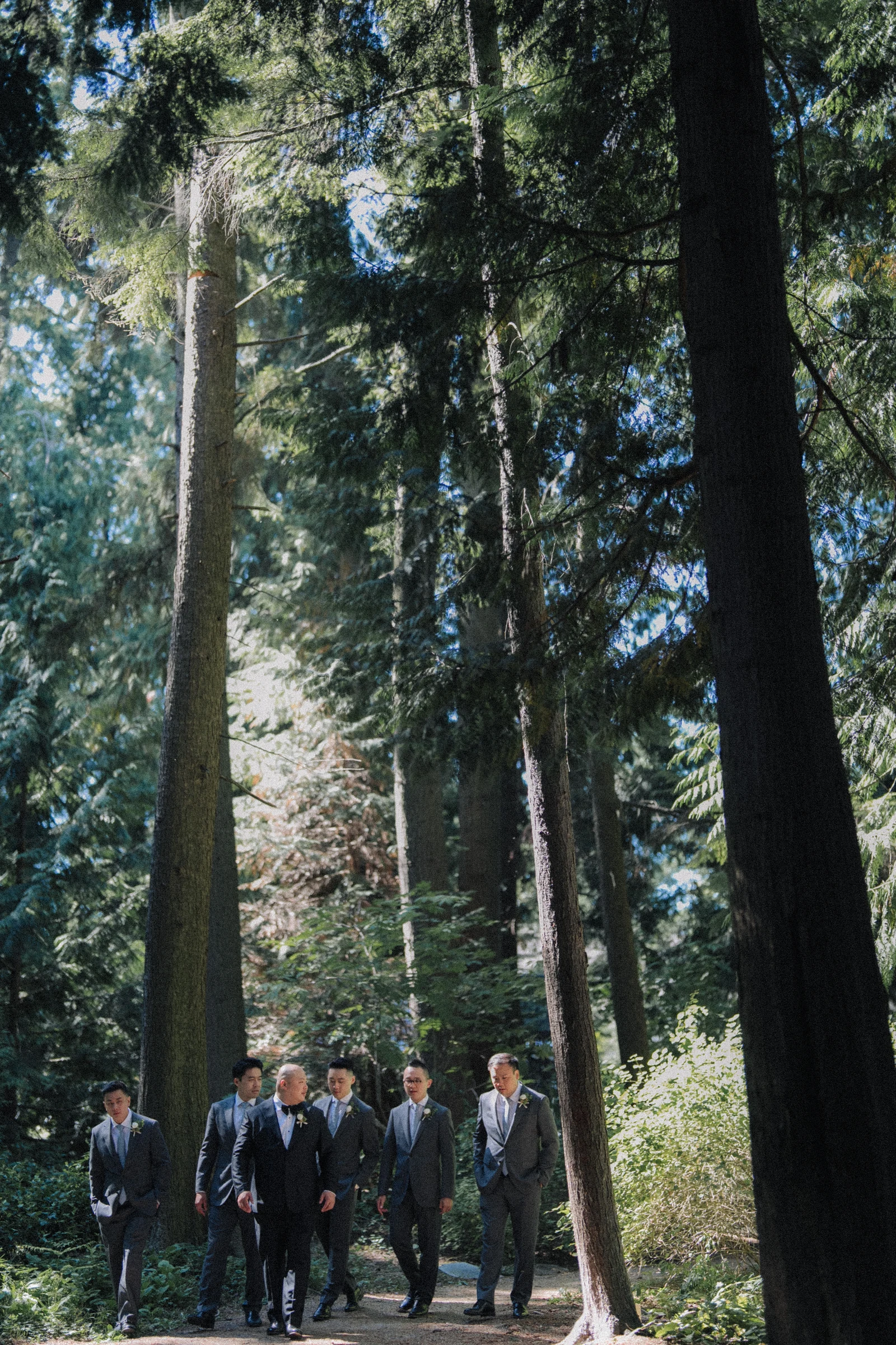 Tall trees rising above the groom and groomsmen.