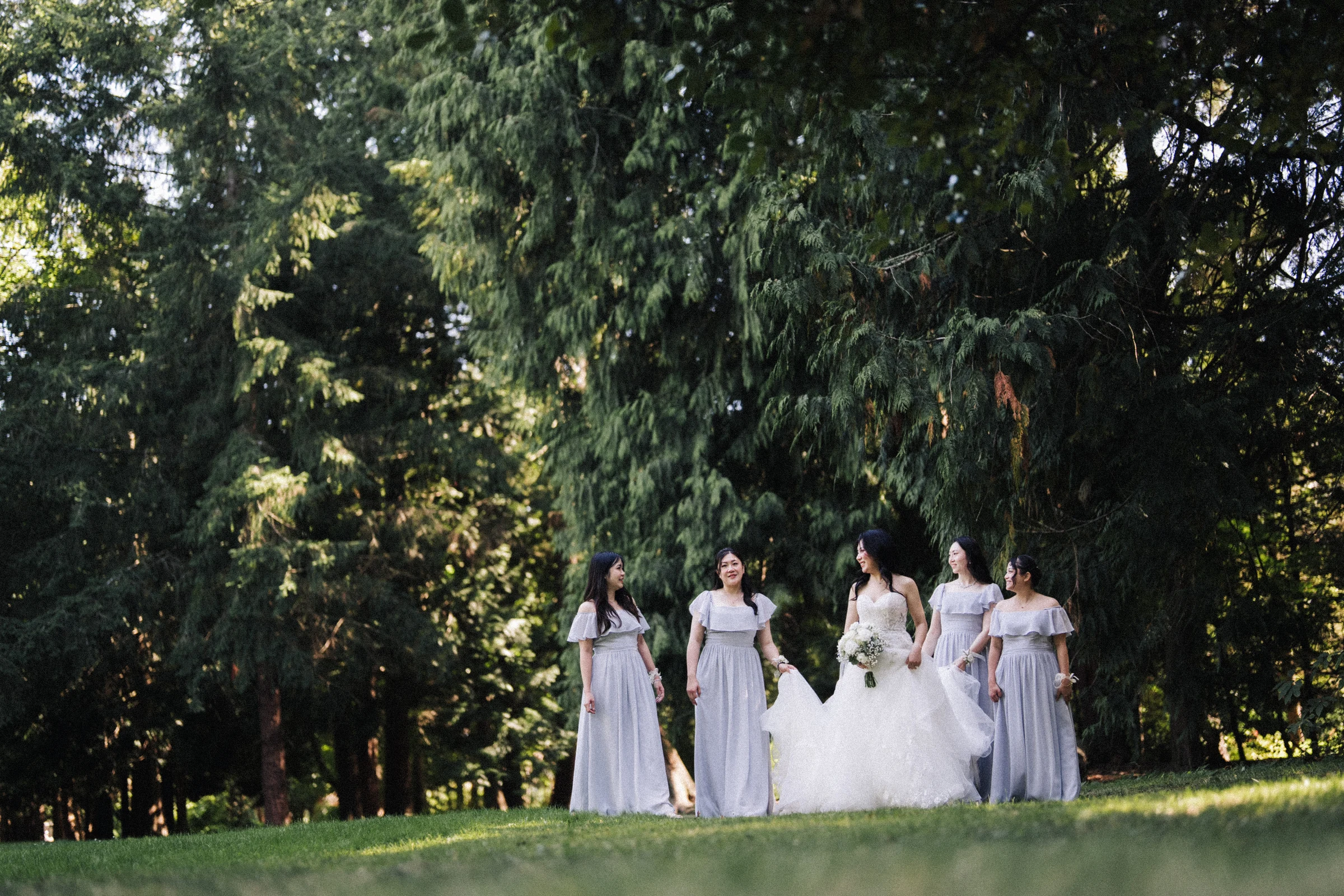 Bride and bridesmaids framed low beneath the spreading branches.
