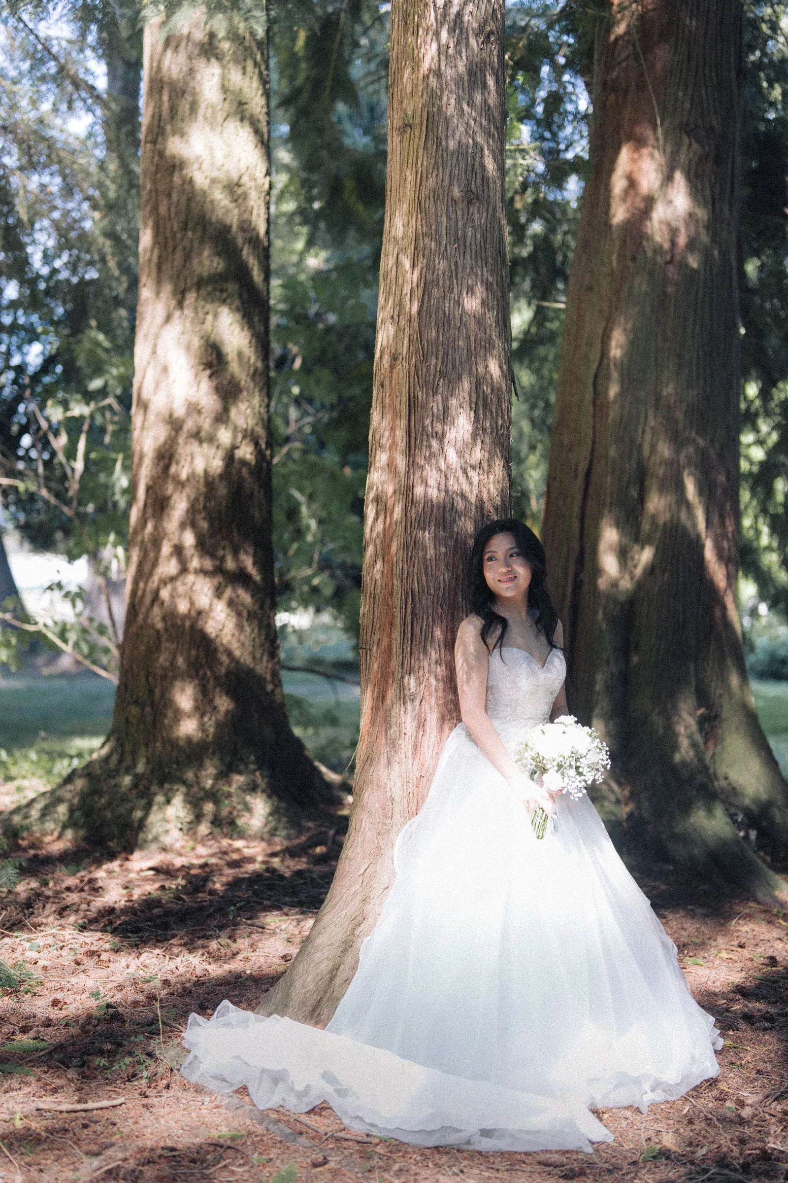 Bride seated in her white wedding dress between sunlit tree trunks.