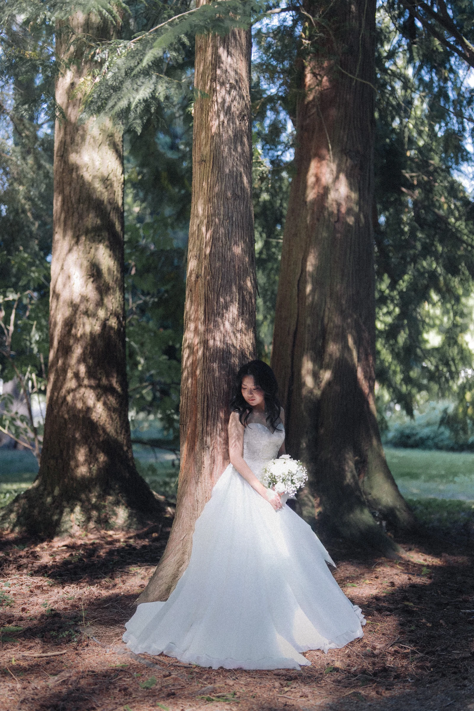 Wide bridal portrait with the dress spread at the base of the trees.