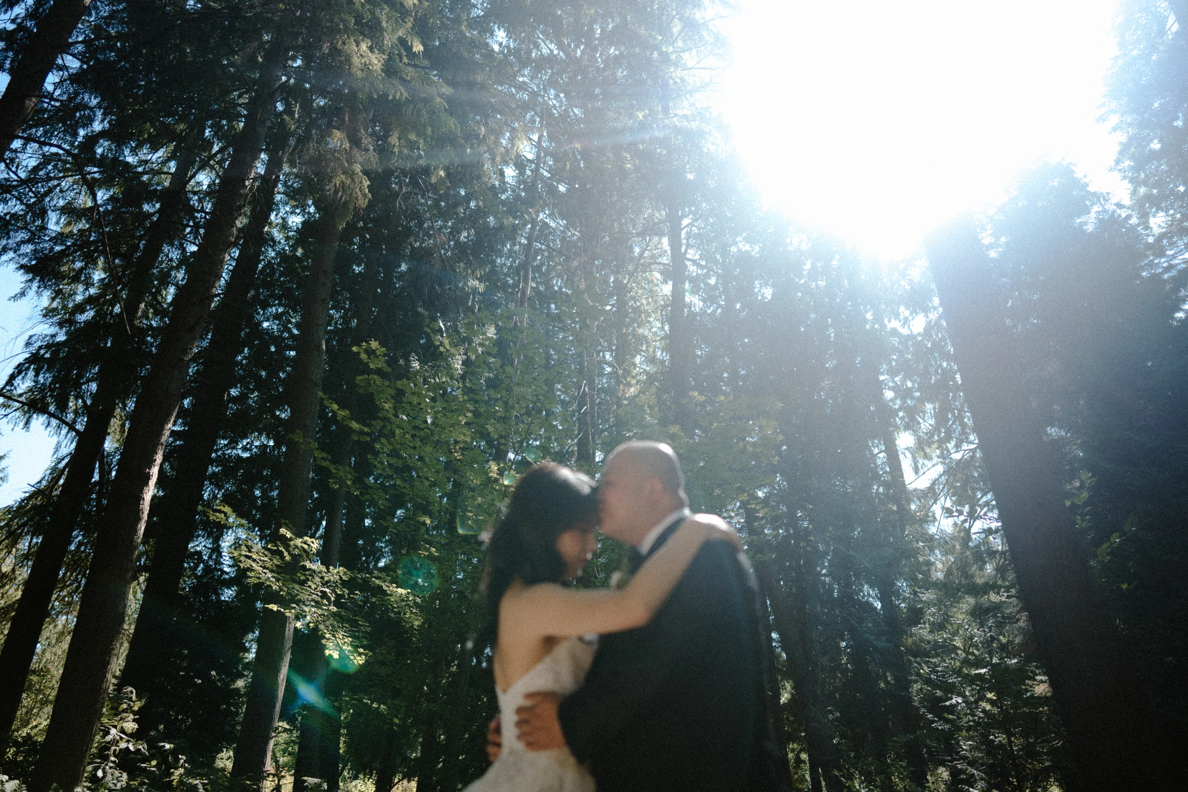 Couple kissing beneath a shaft of sunlight through the canopy.
