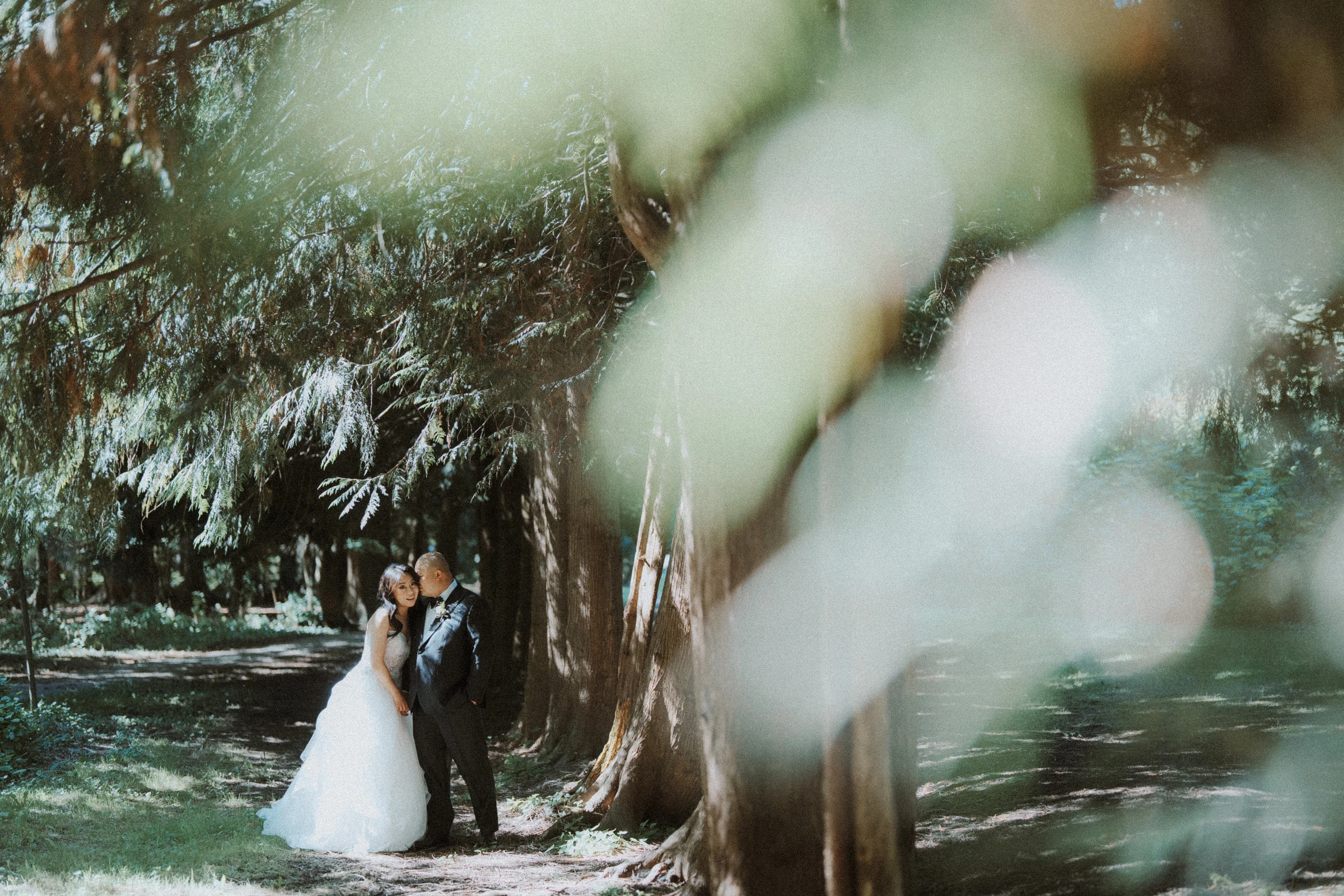 Couple beside a broad tree, seen through soft leaves in the foreground.