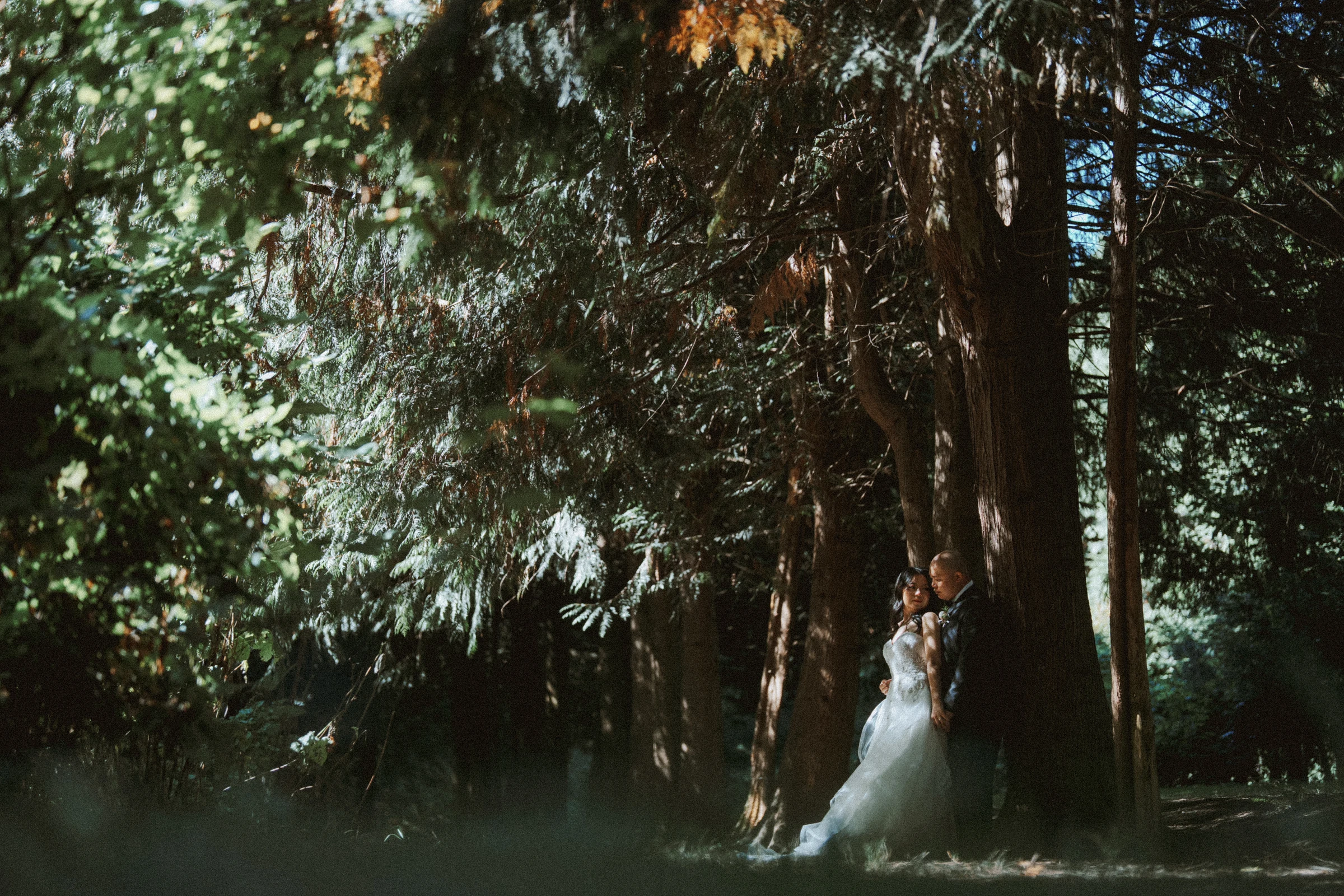 Wide woodland view with the couple small beneath the green canopy.
