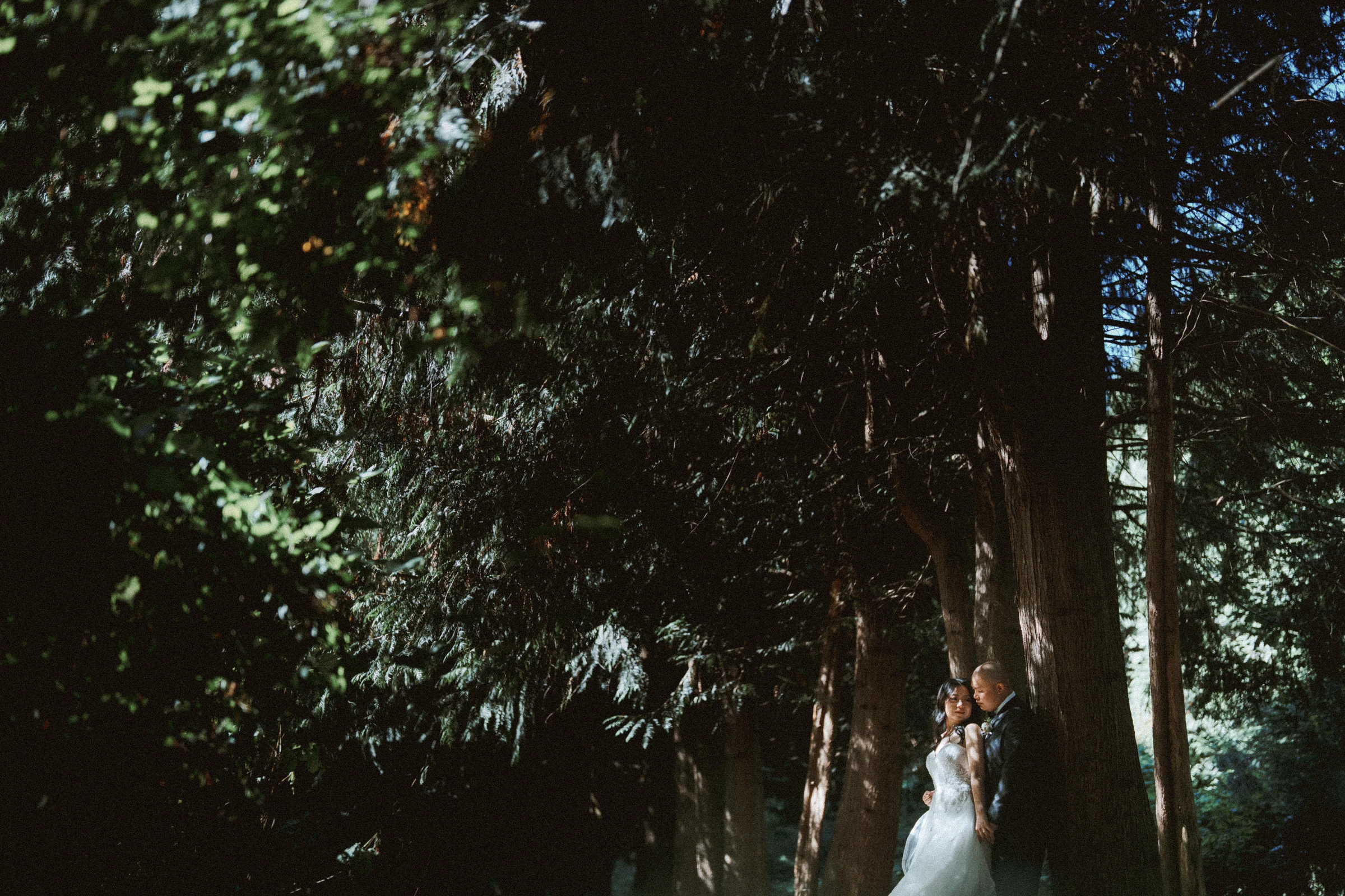 Couple standing in a dark patch of shade beneath the branches.