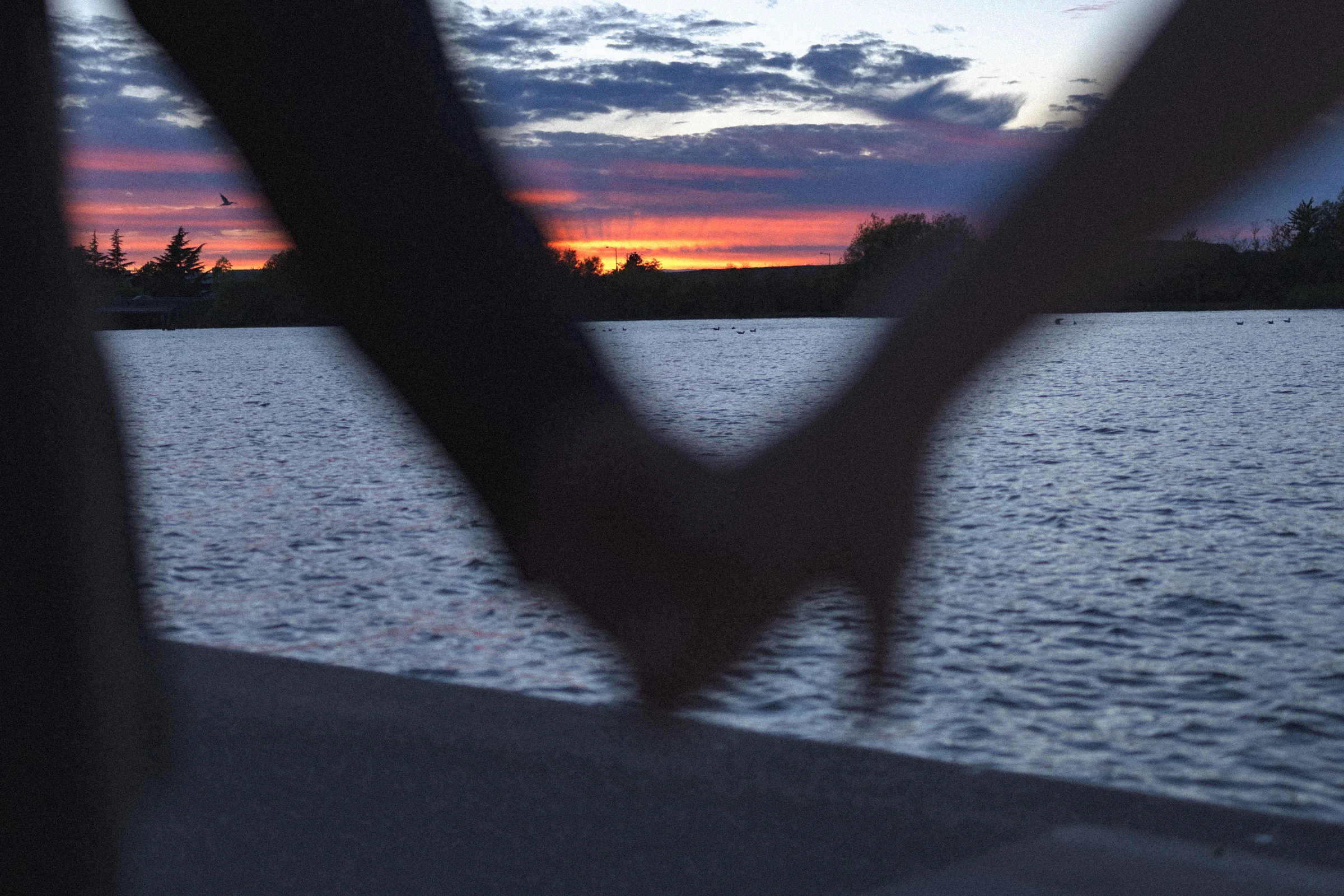 Joined hands in the foreground framing the couple's dusk portrait.