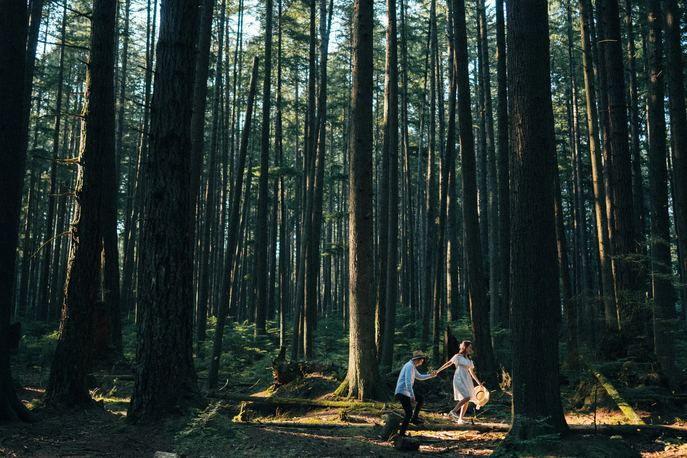 Couple walking hand-in-hand on forest trail, framed by deep green trees, Vancouver engagement.