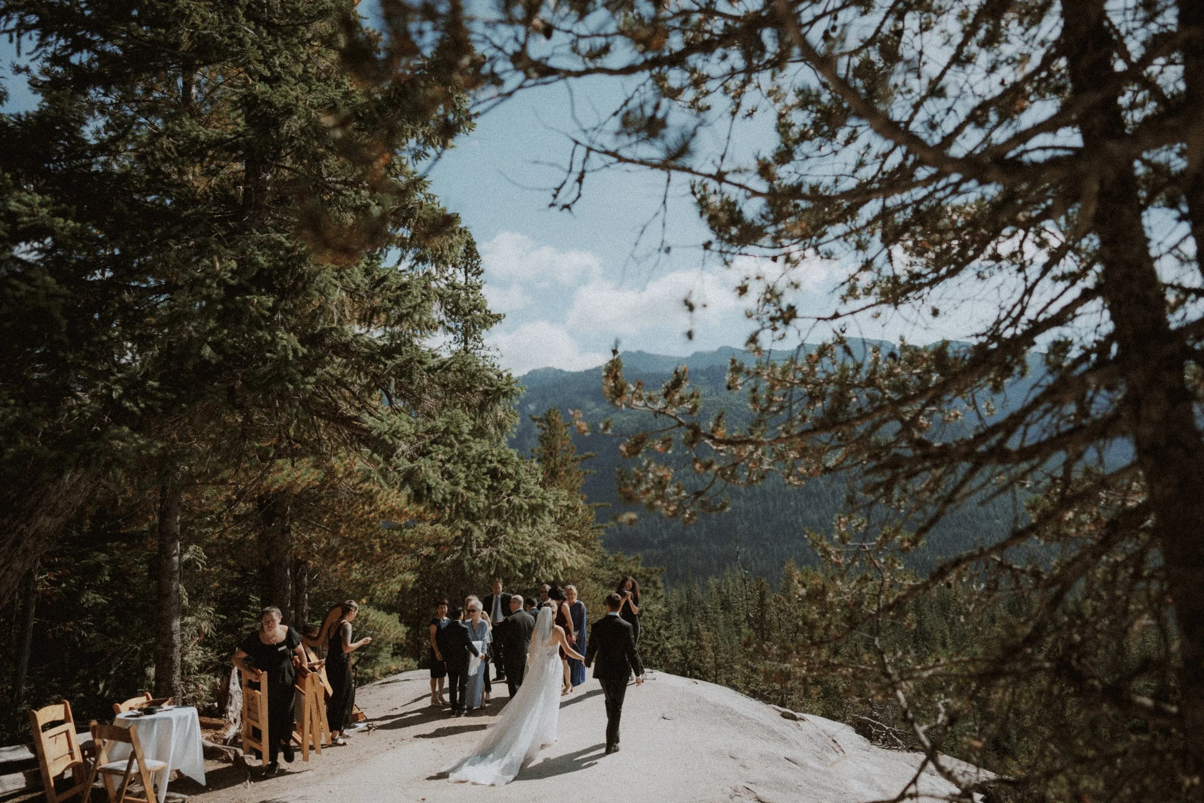 Wedding guests and newlyweds gathering beneath trees at the mountain viewpoint.