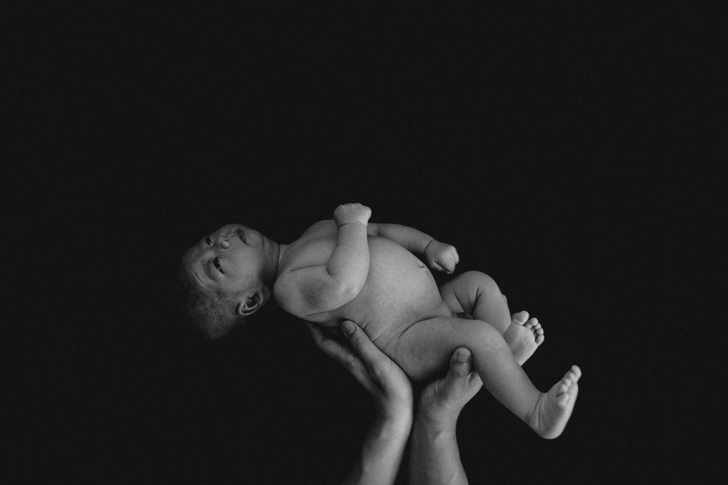  A dramatic, artistic photo of the newborn baby being held up against a dark backdrop. 