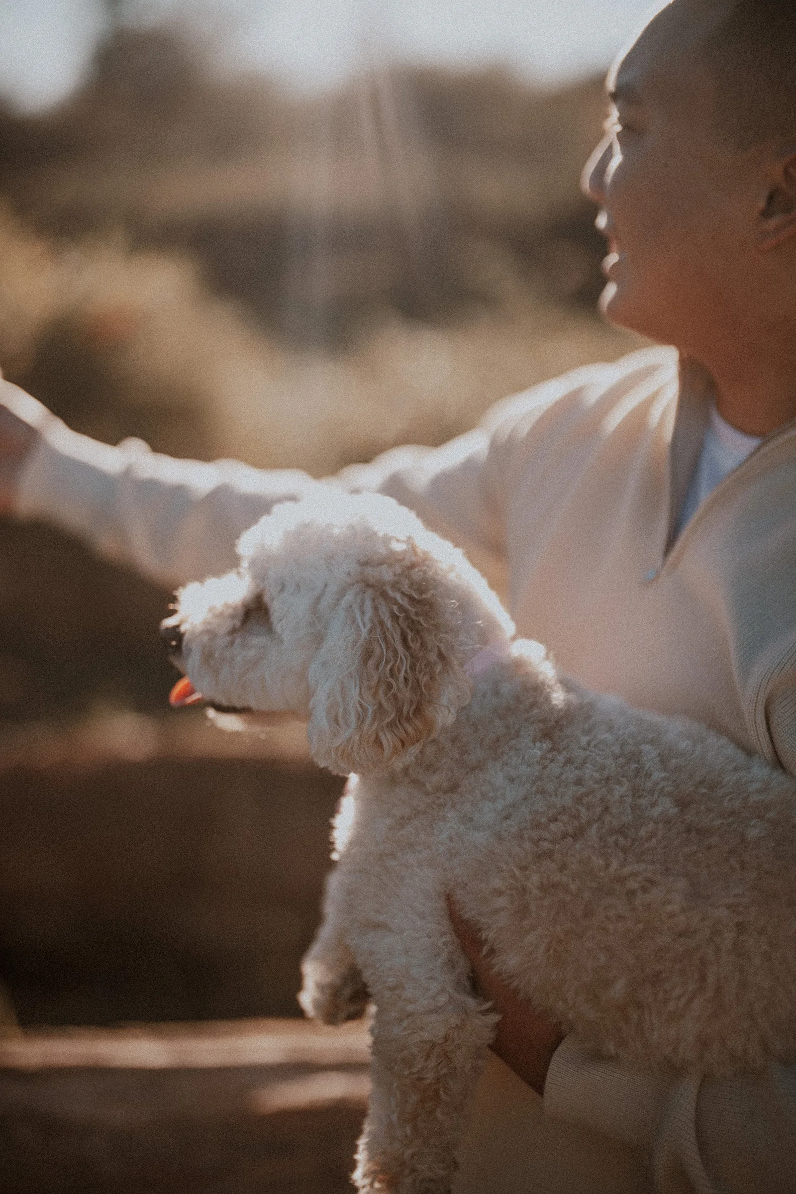 Groom holding dog in his arms, backlit portrait, Pitt Lake.