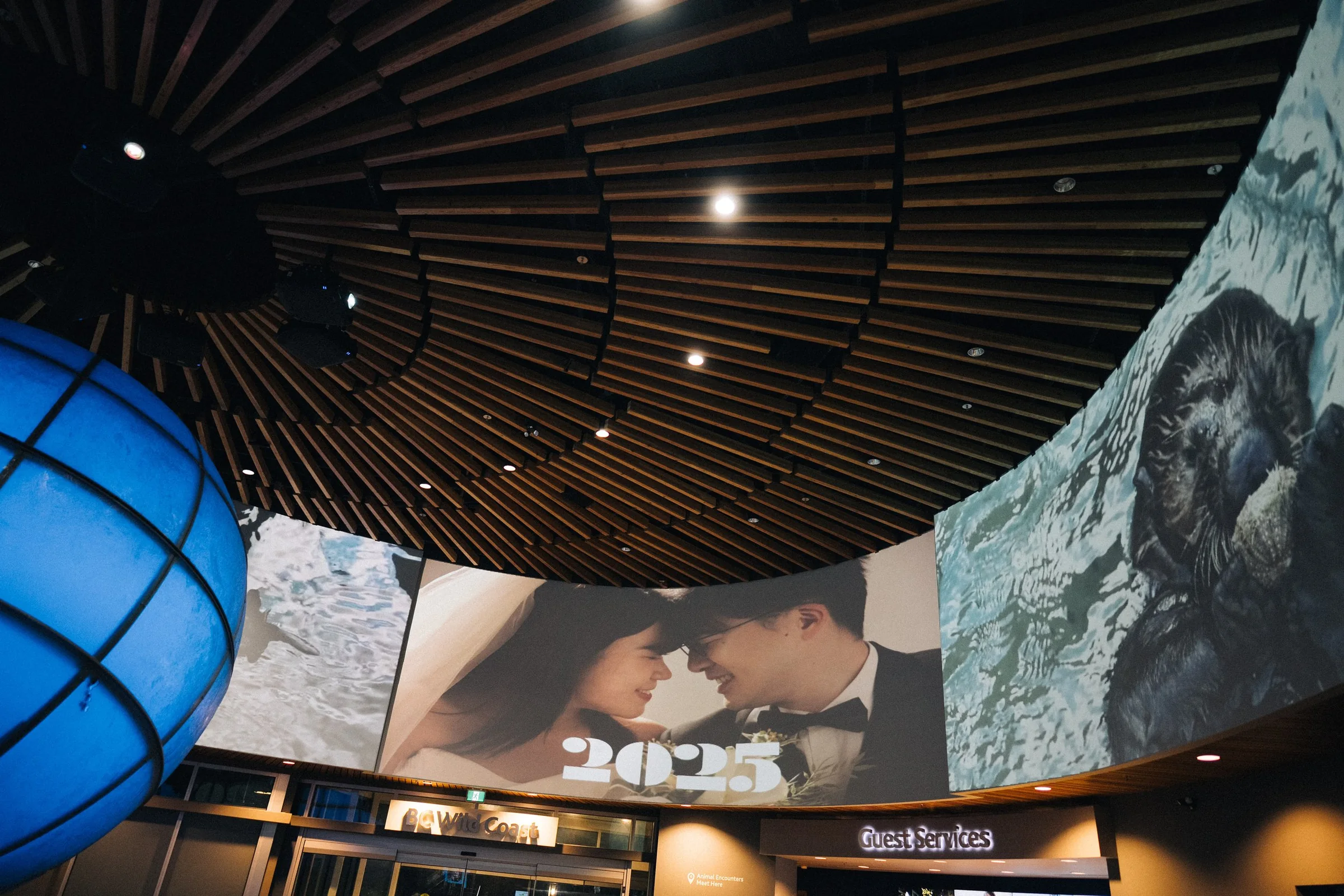 Couple's photograph projected above the Vancouver Aquarium reception room.