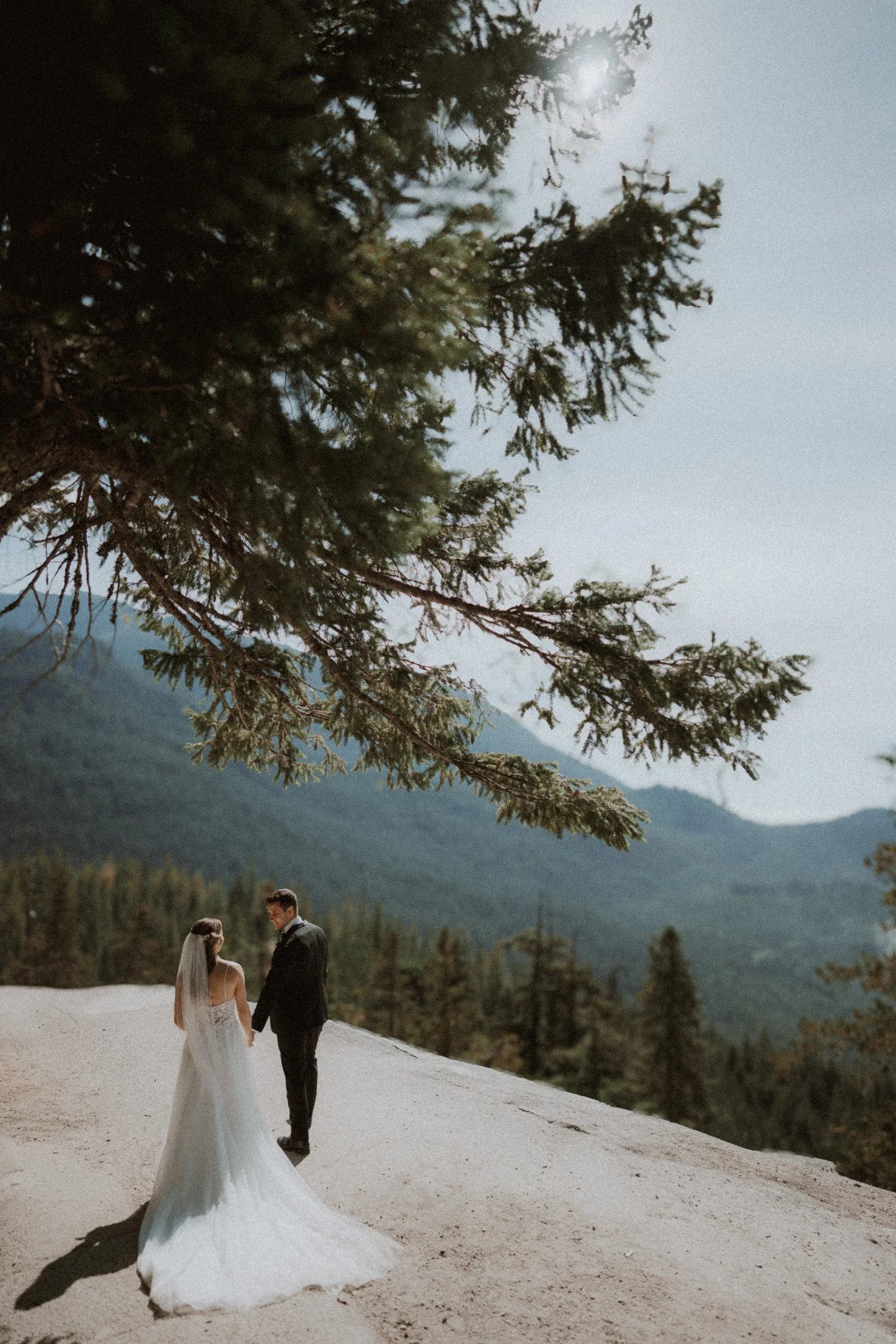 Wide portrait of the newlyweds beneath evergreen branches at Sea to Sky Gondola.