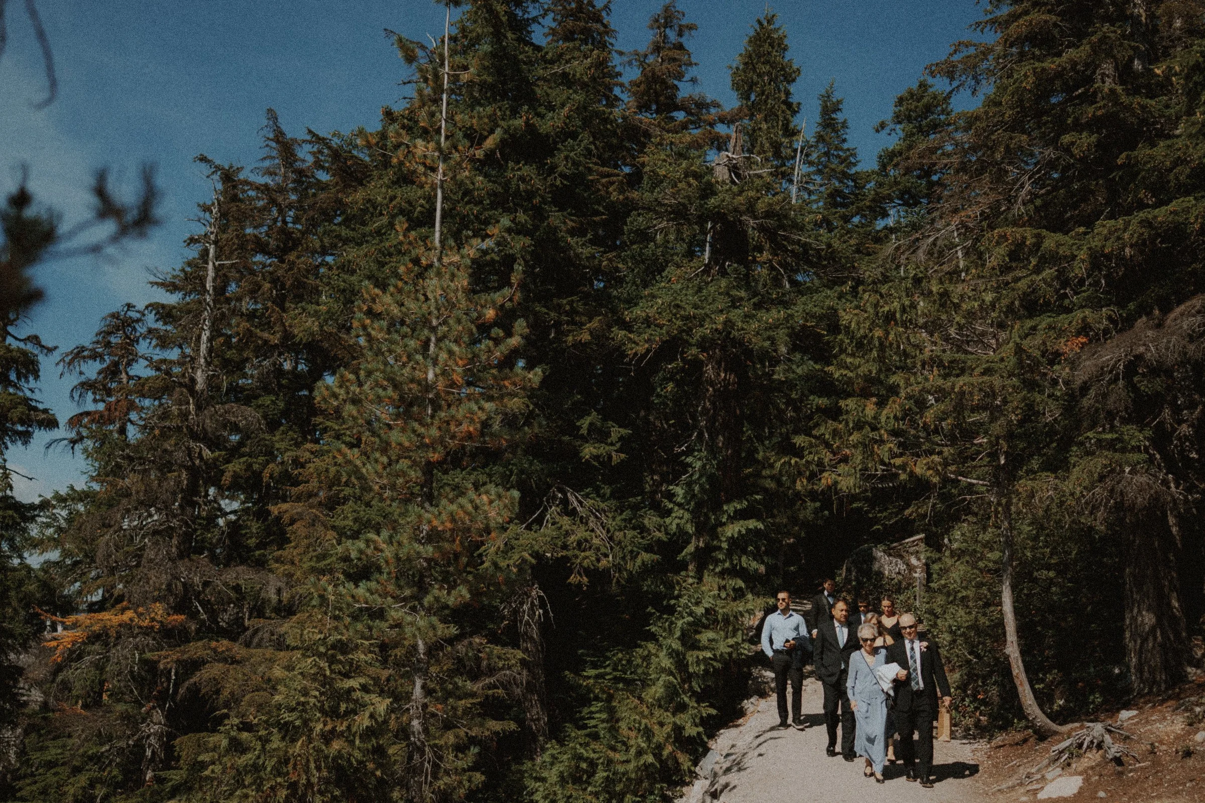 Wedding guests walking along a mountain trail through evergreen trees.