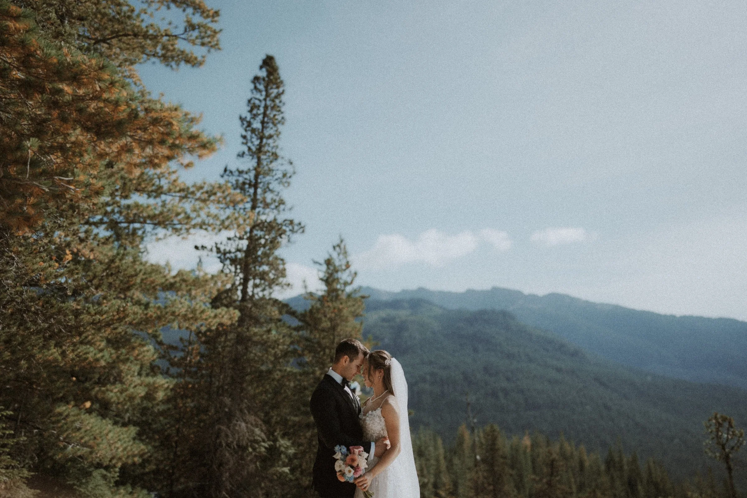 Couple embracing beside a tree with forested mountains behind them.