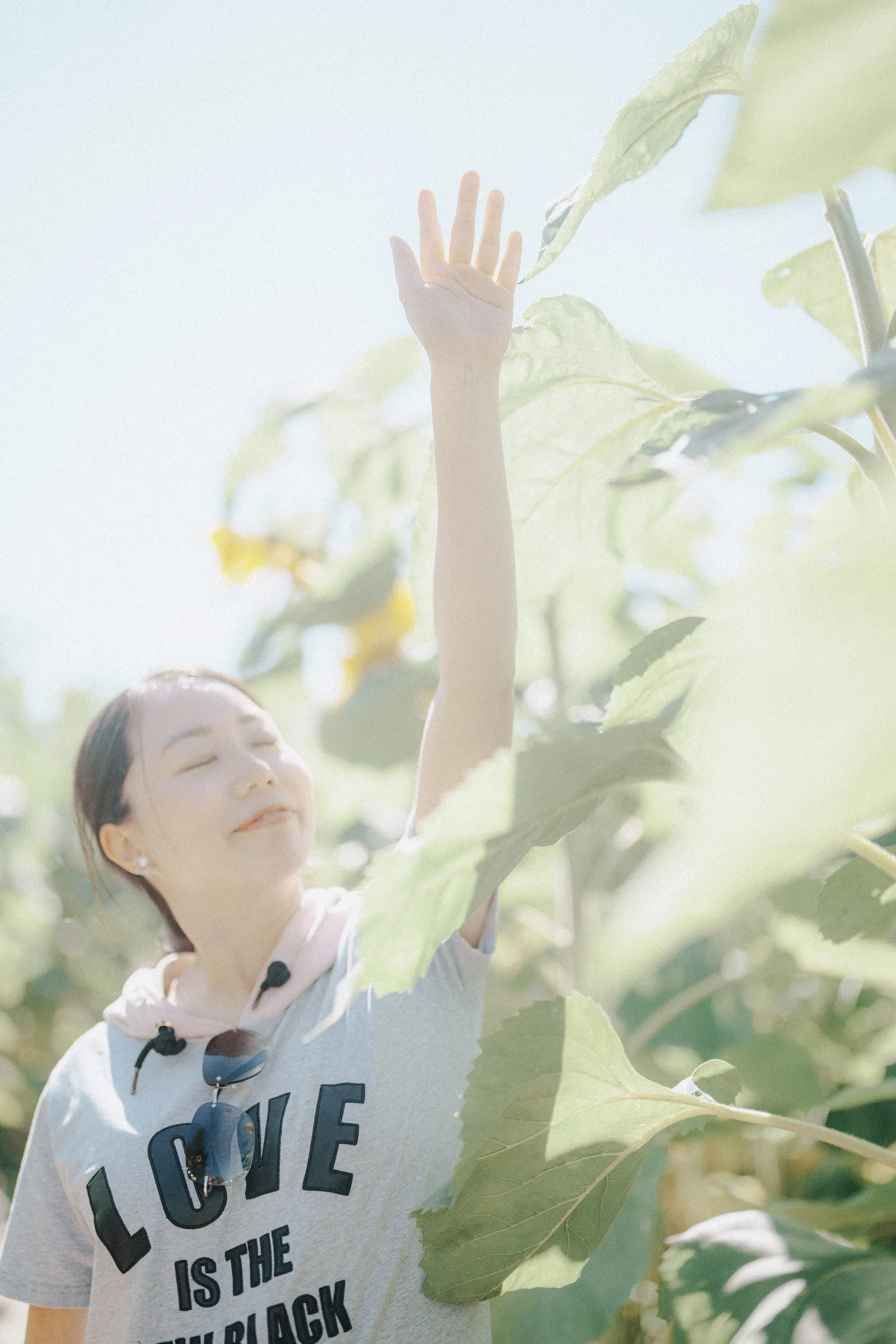 Person standing with arm raised in sunflower field at Richmond Country Farms