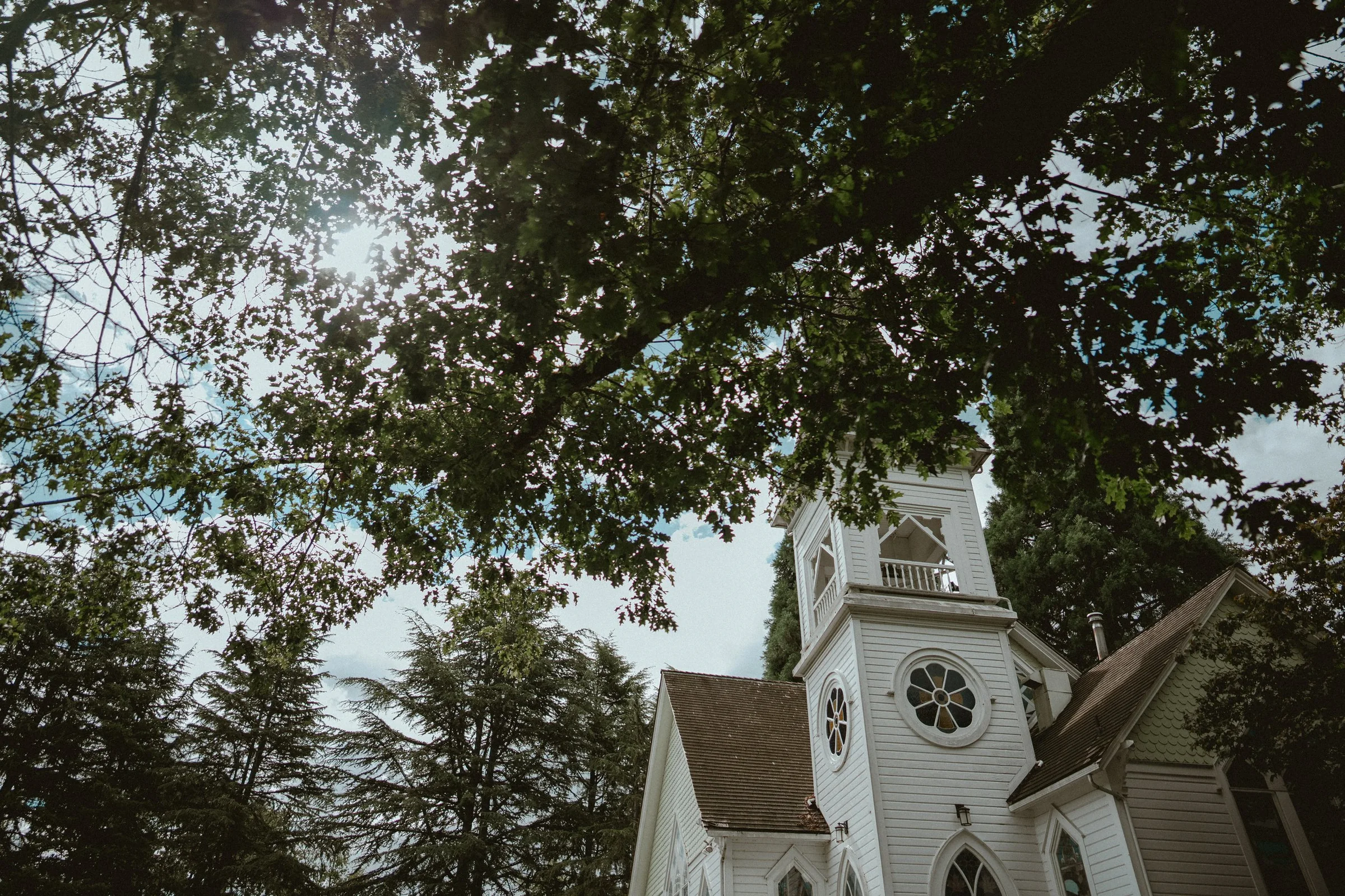 Minoru Chapel's white tower framed by leafy trees in Richmond.