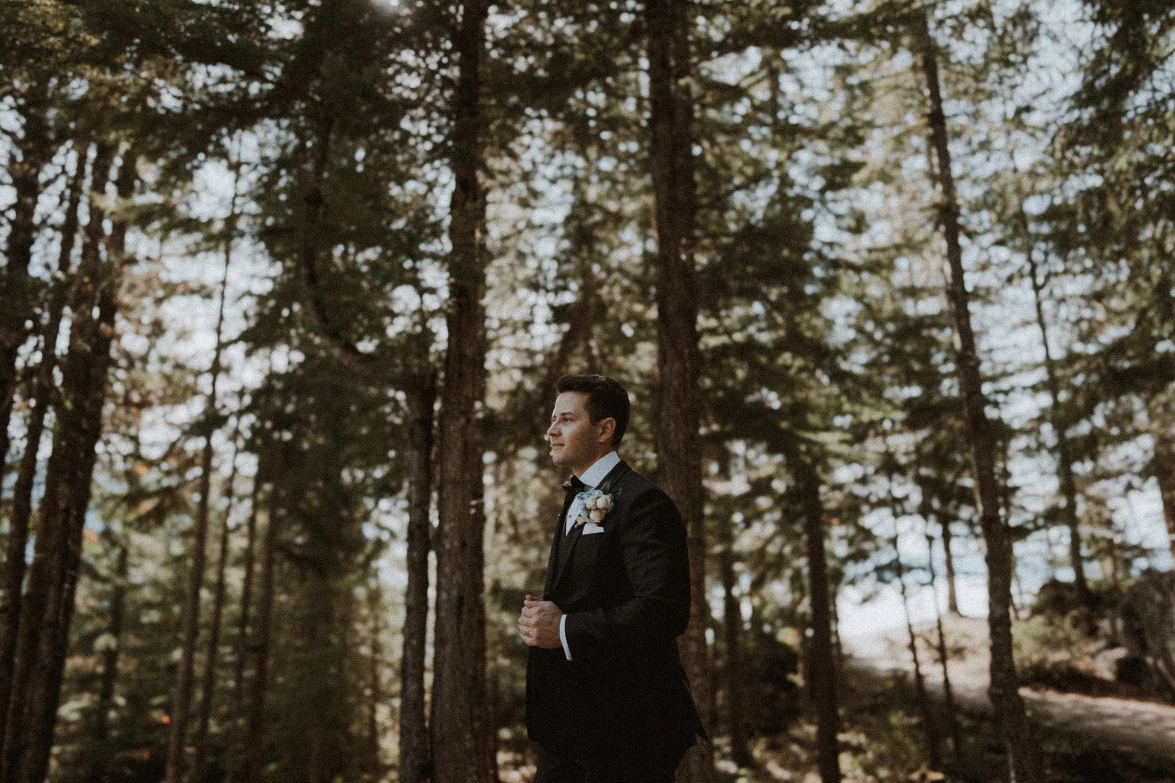 Portrait of the groom in a black tuxedo among evergreen trees.