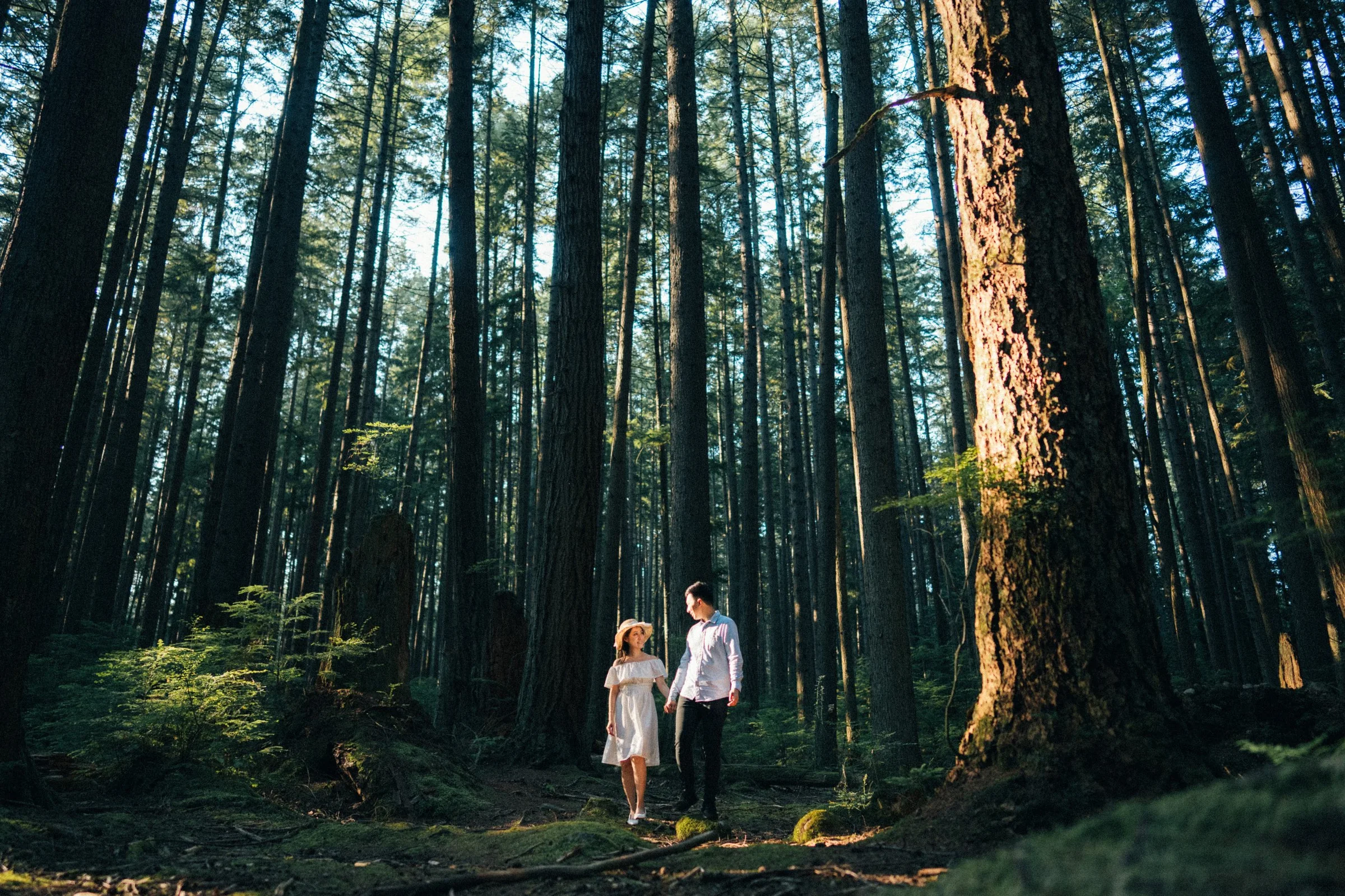 Vancouver forest engagement, couple standing among tall Douglas Fir trees, dramatic light.
