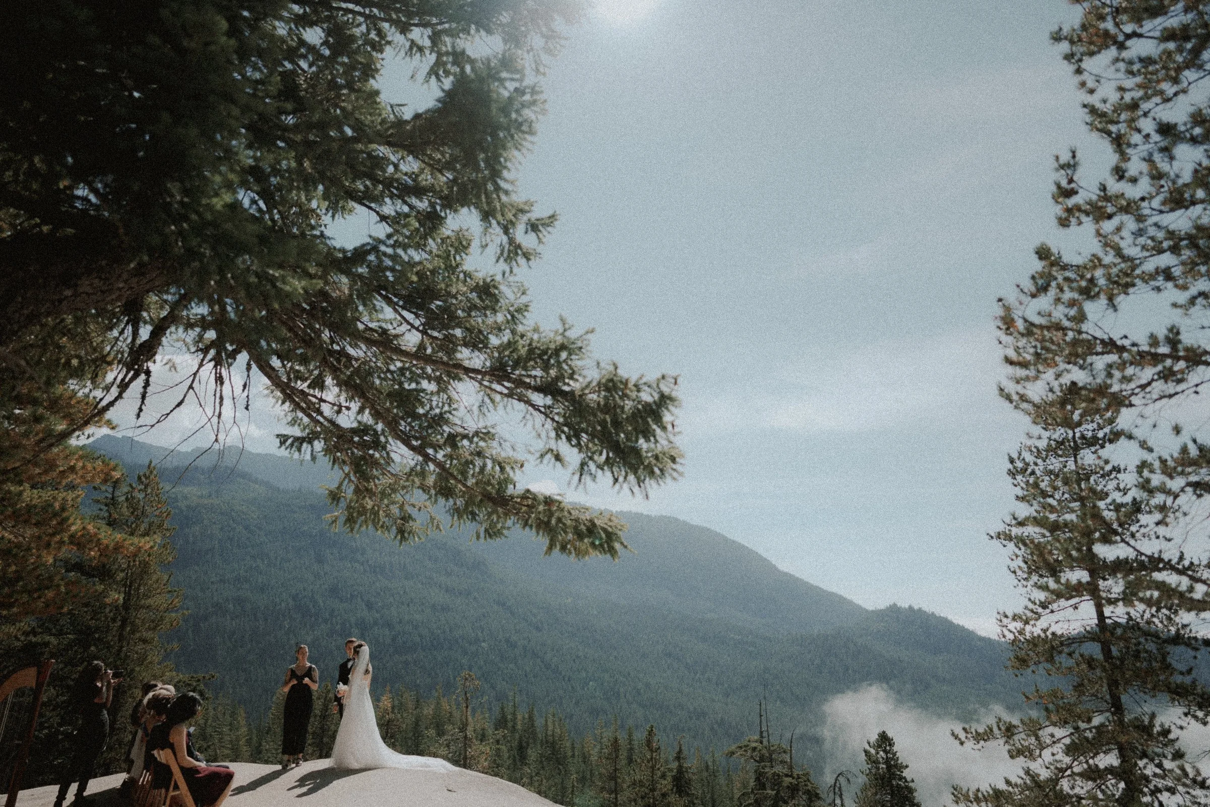 Wide portrait of the wedding ceremony beneath overhanging trees.