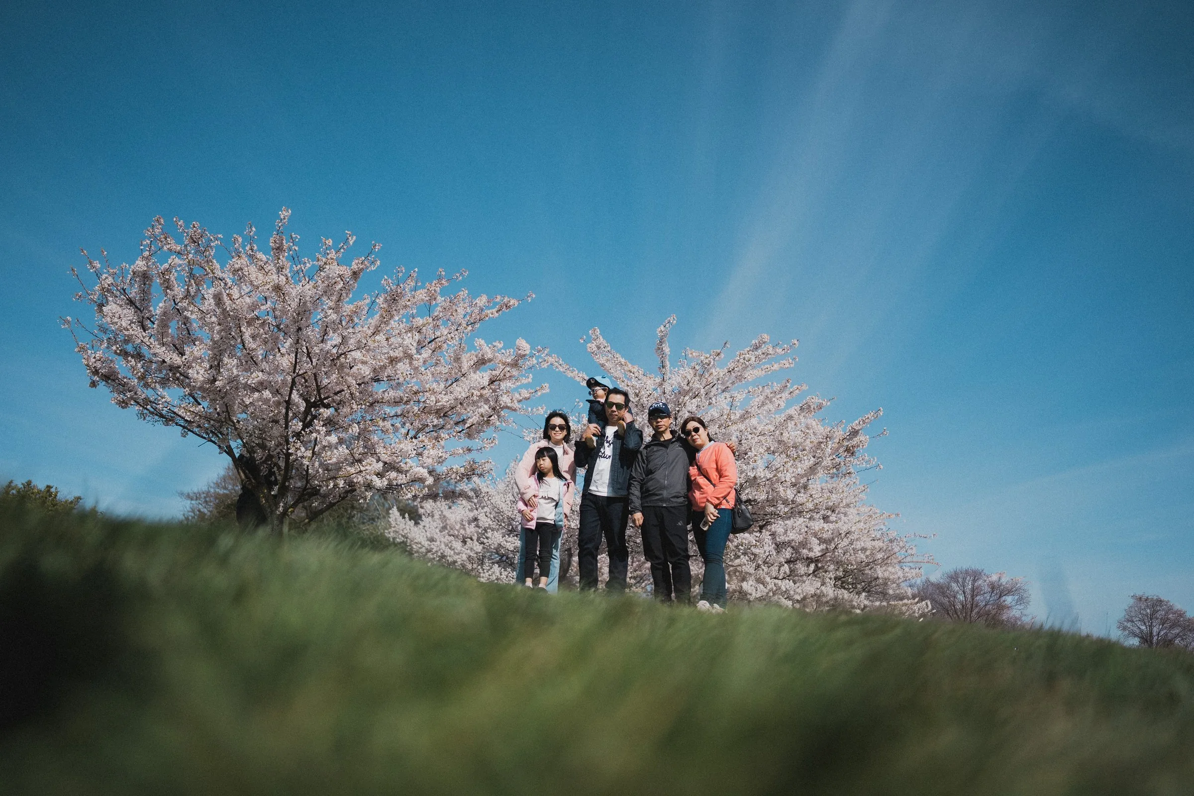Family heritage framed by spring. There is something profoundly beautiful about gathering three generations together under the Vancouver blooms—a timeless memory for the whole family to cherish.
