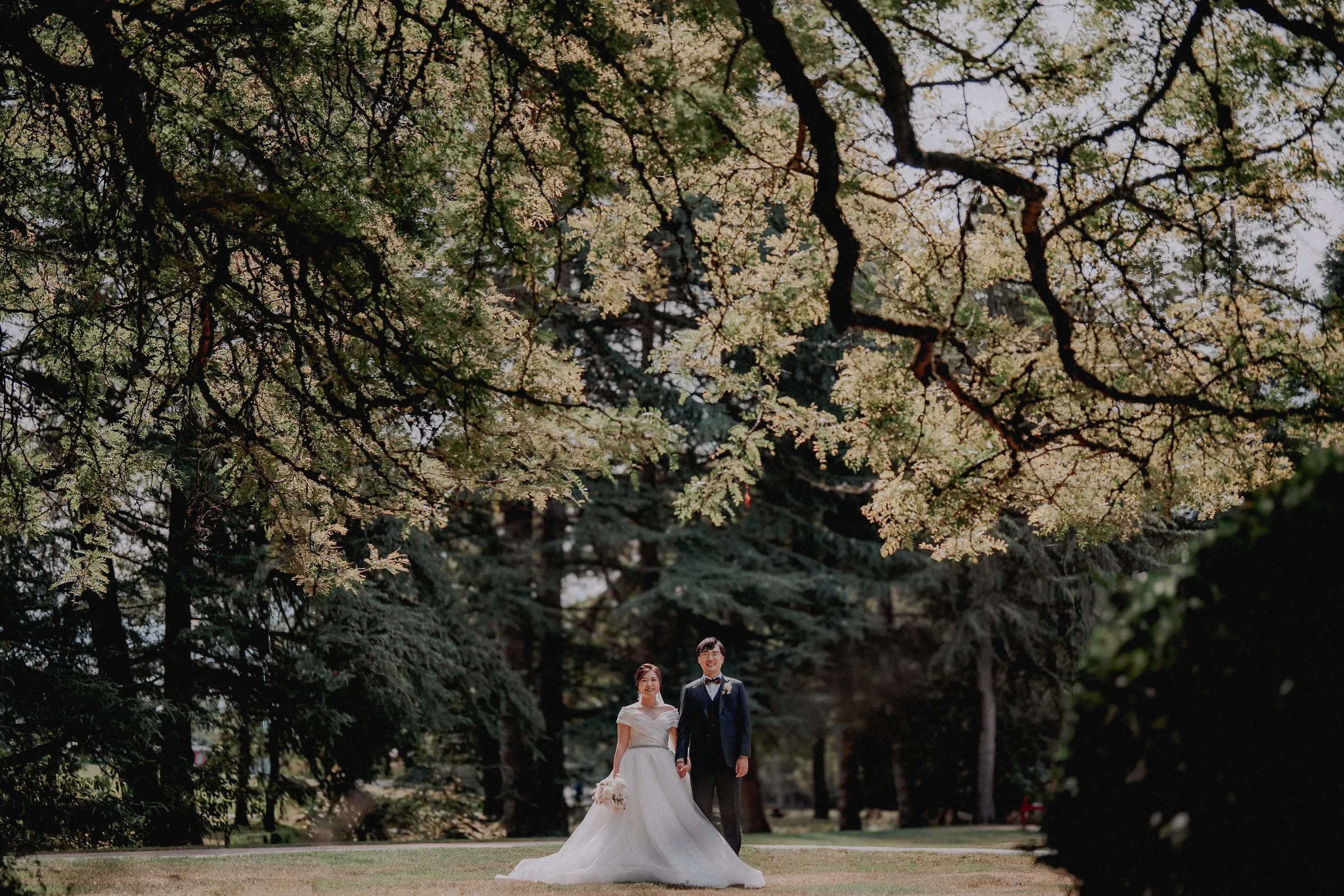 Wide wedding portrait beneath an arch of sunlit branches.