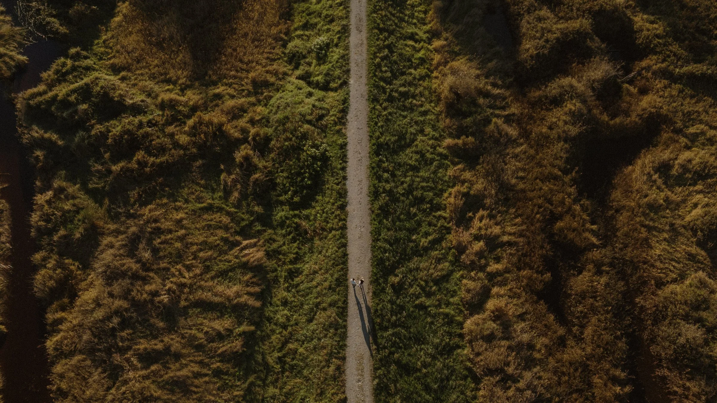Aerial drone photo of couple walking on path, surrounded by Pitt Lake wilderness.