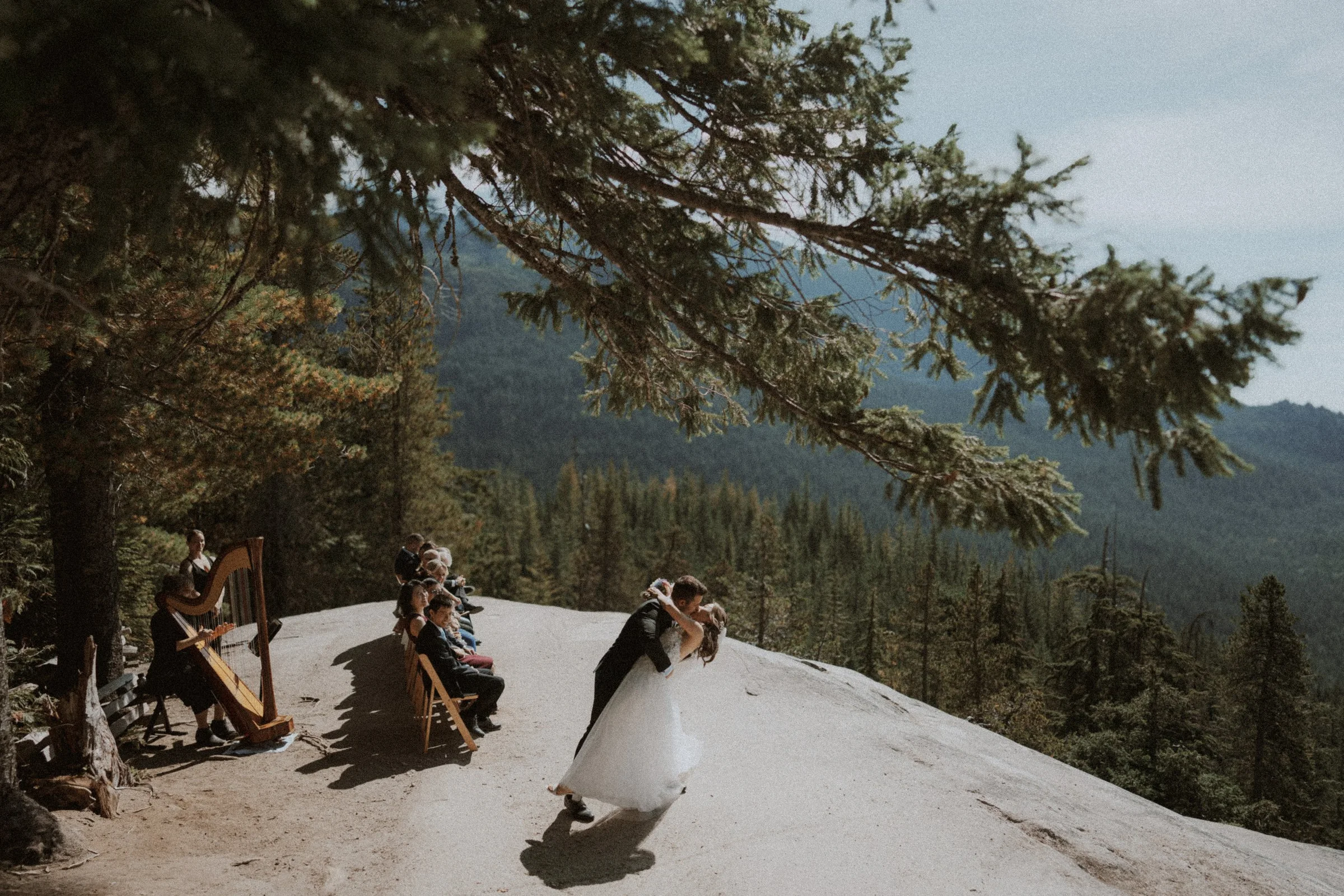 Couple beginning to walk away from the ceremony beneath evergreen trees.